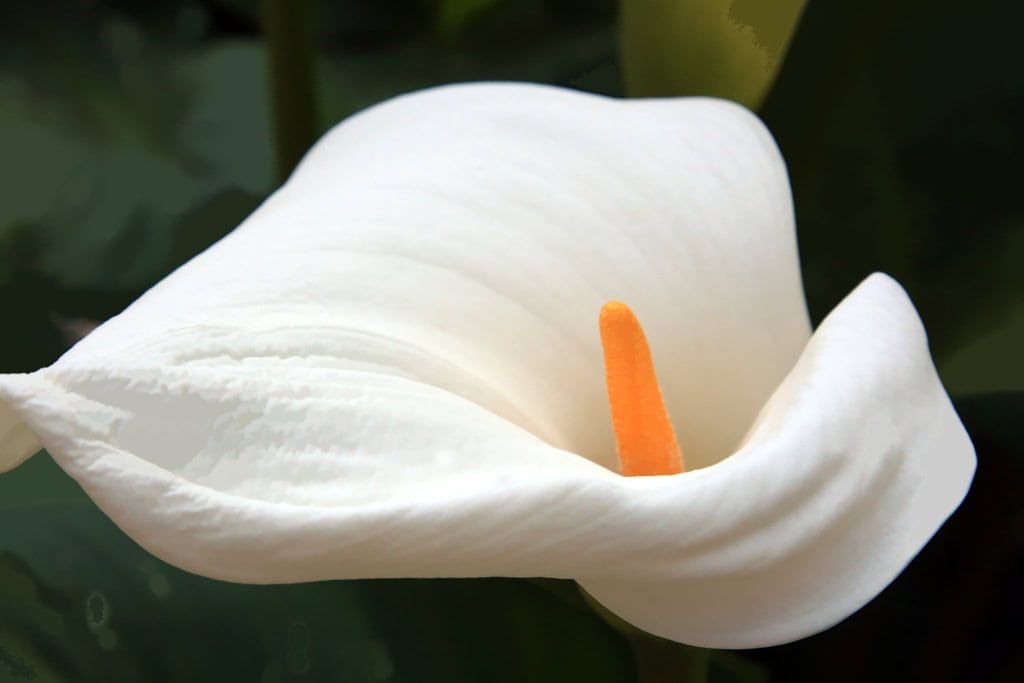 Nintendo’s Innovative Wii Remote Finds Another Use